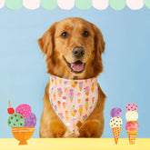 Foggy Dog - Bandana Dog Sundae Funday