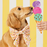 Lady Dog Bow Sundae Funday