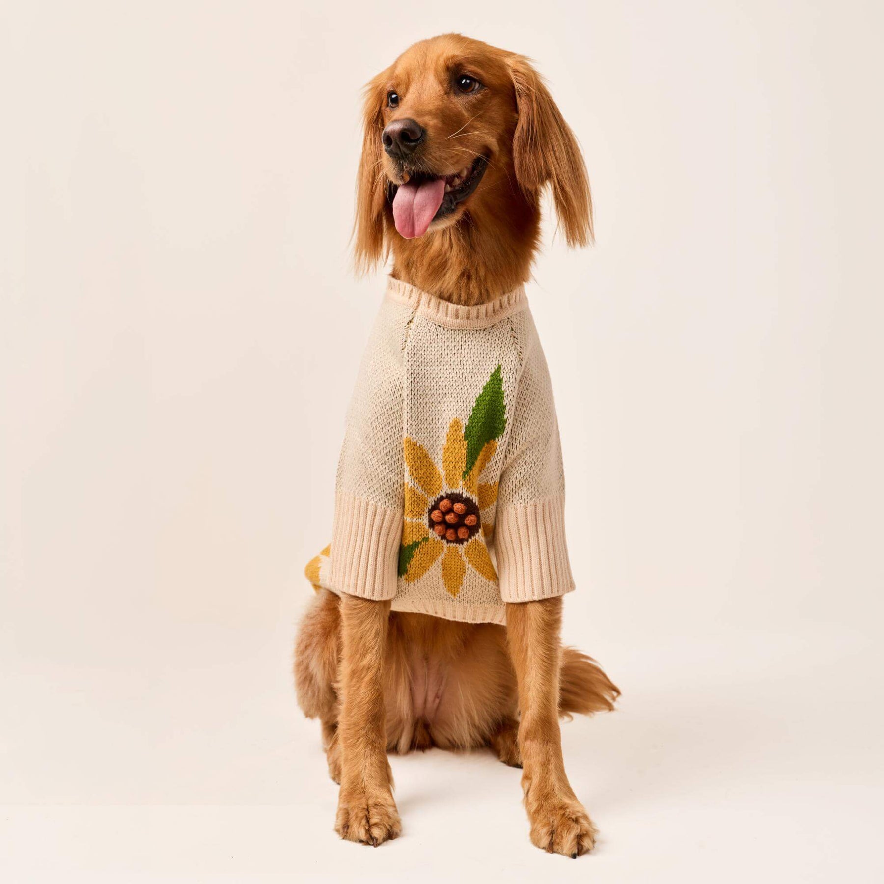 The Foggy Dog - Dog Sweater Sunflower