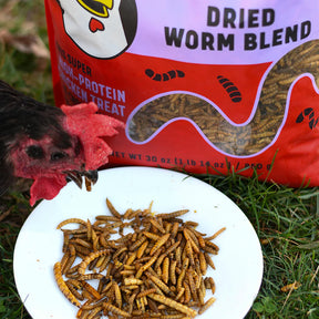 Happy Hen Superworm Surpise