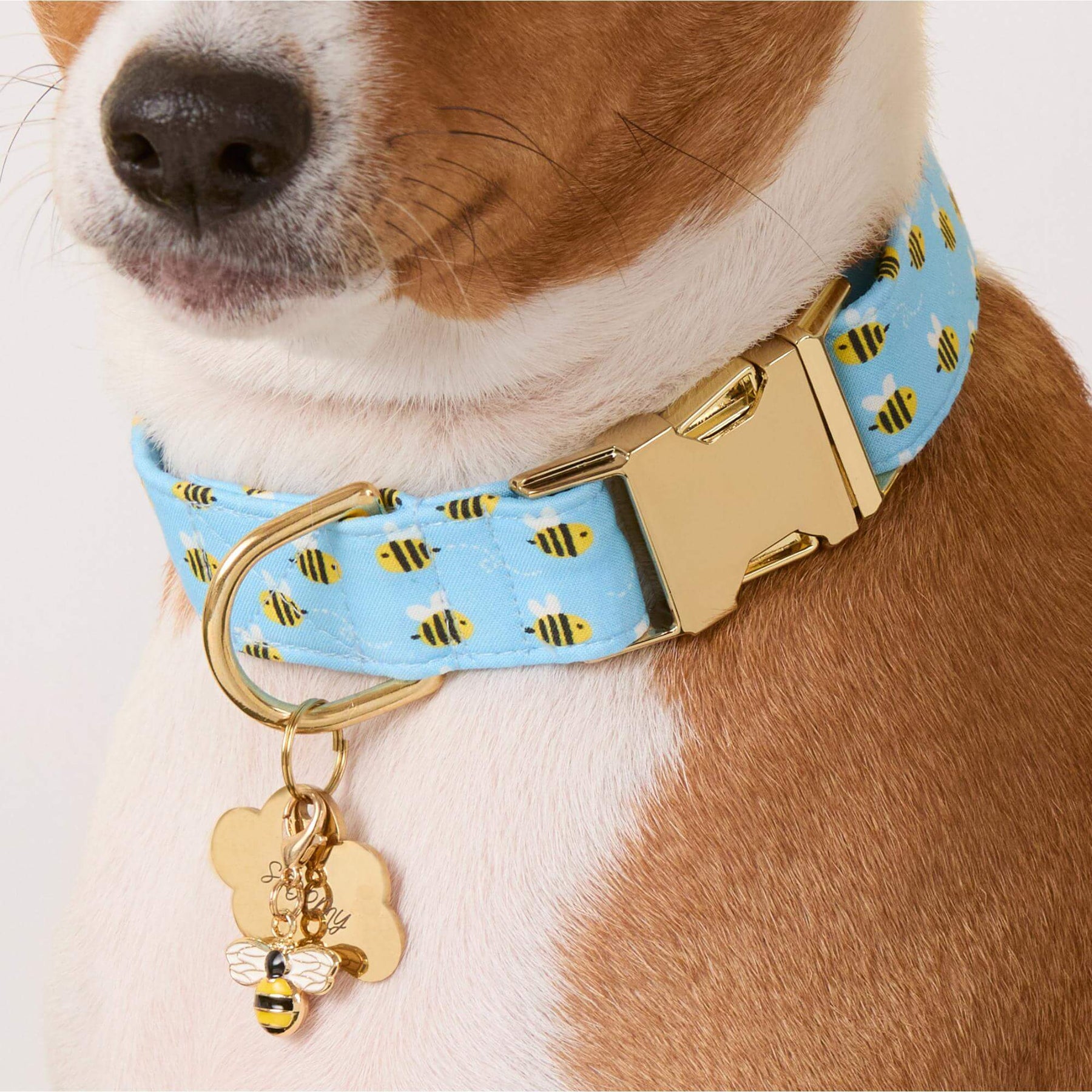 The Foggy Dog - Collar Charm Honey Bee