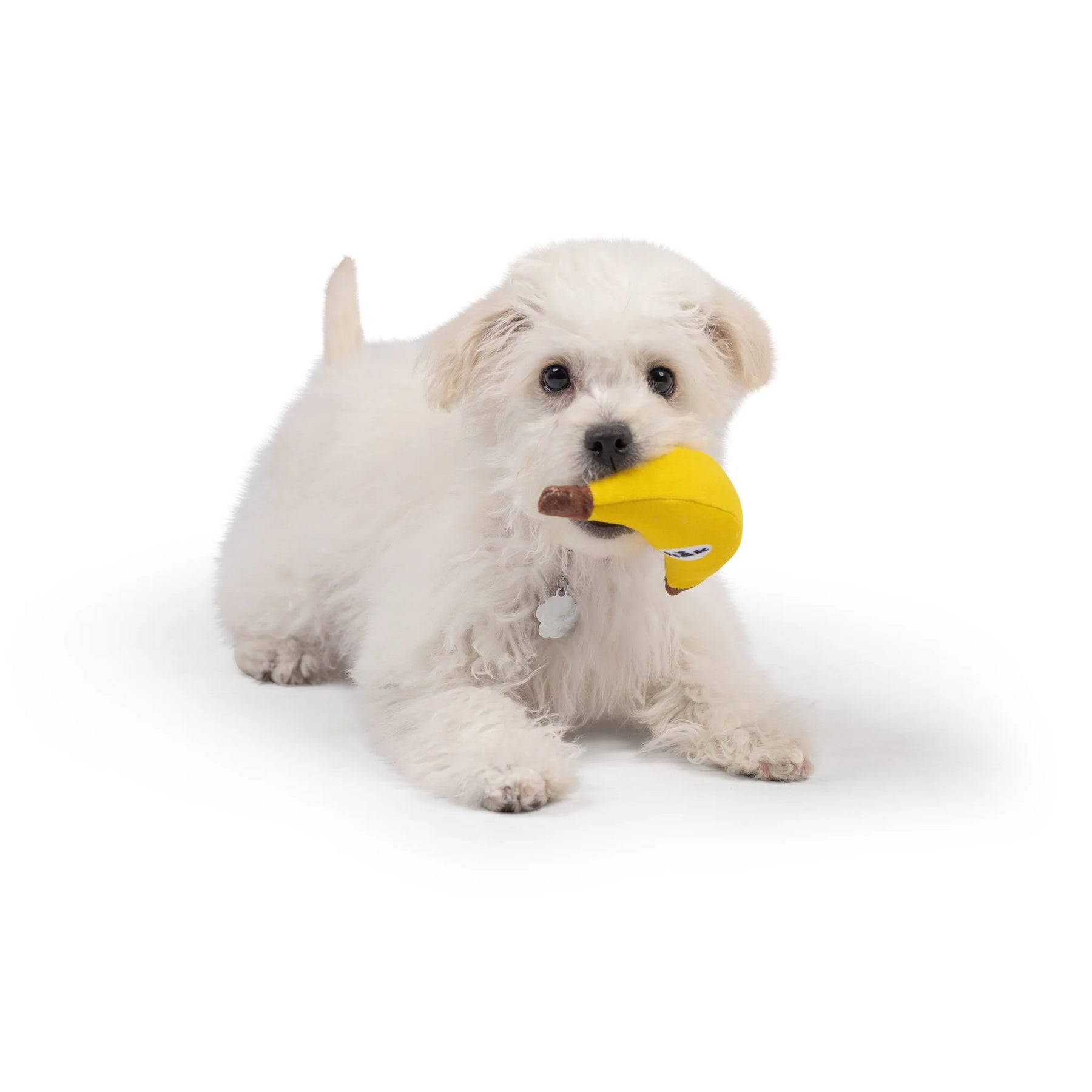 Huxley & Kent - Dog Toy Tiny Tuff Bruiser