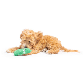 Huxley & Kent - Dog Toy Tiny Tuff Dell Pickle
