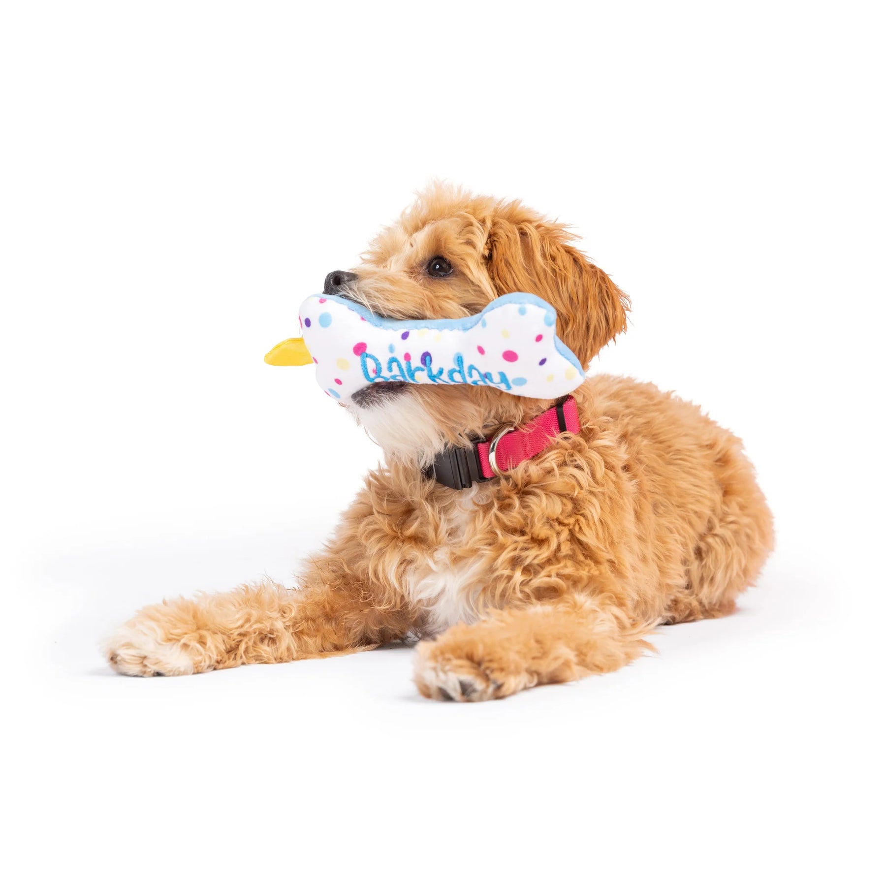 Huxley & Kent - Dog Toy Tiny Tuff It's My Barkday