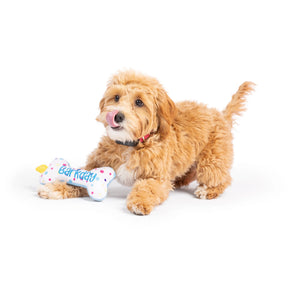 Huxley & Kent - Dog Toy Tiny Tuff It's My Barkday