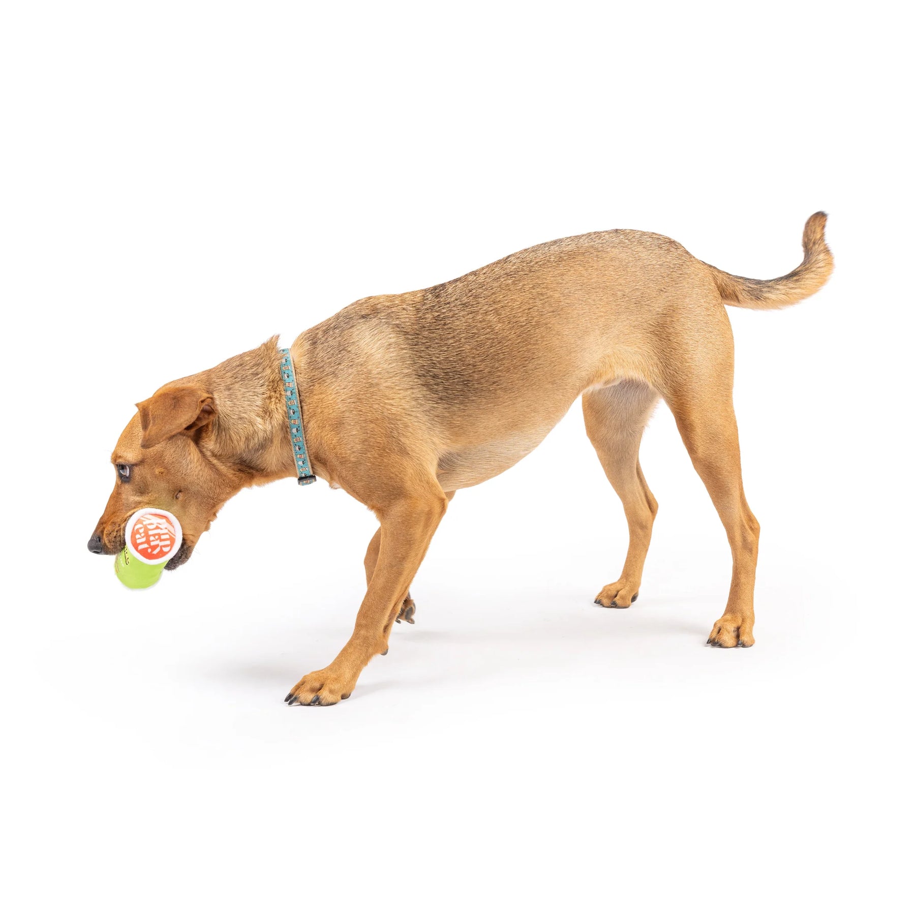 Huxley & Kent - Dog Toy Tiny Tuff Puggles Can