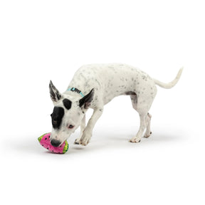 Huxley & Kent - Dog Toy Tiny Tuff Walter Melon