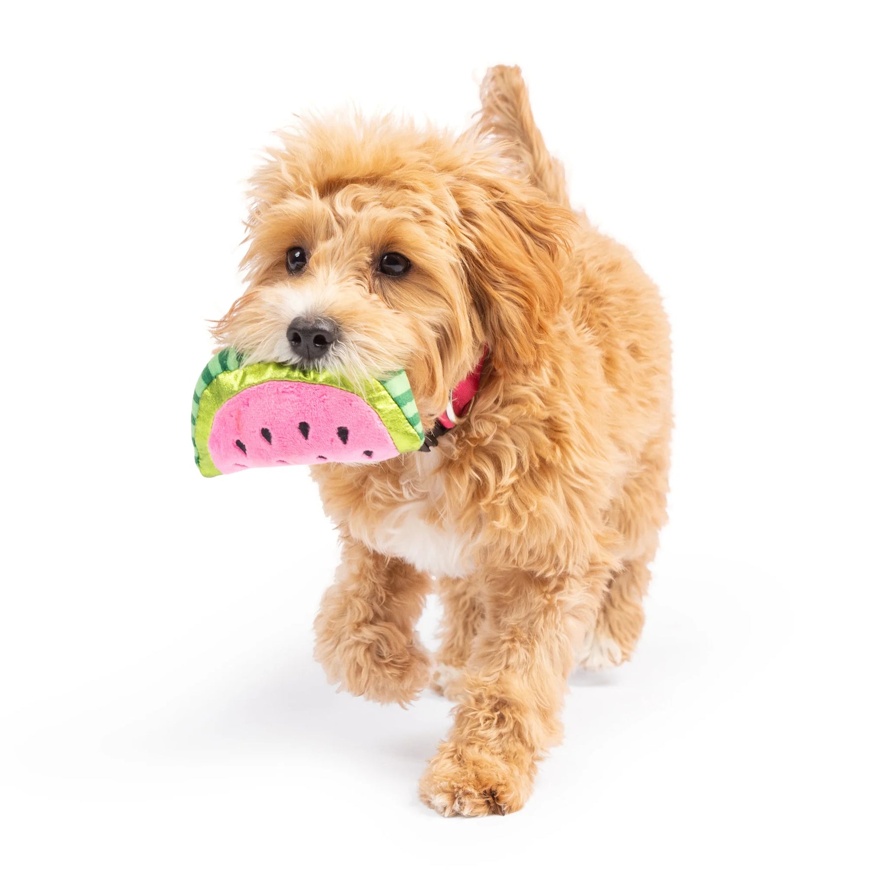 Huxley & Kent - Dog Toy Tiny Tuff Walter Melon