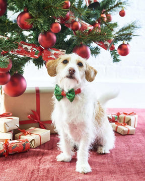 Talking Tables - Christmas Dog Bow Tie