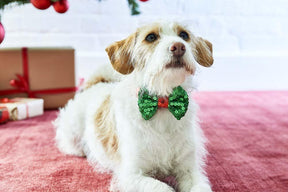 Talking Tables - Christmas Dog Bow Tie
