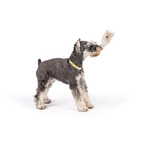Huxley & Kent - Dog Toy Tiny Tuff Toto's Pawdka