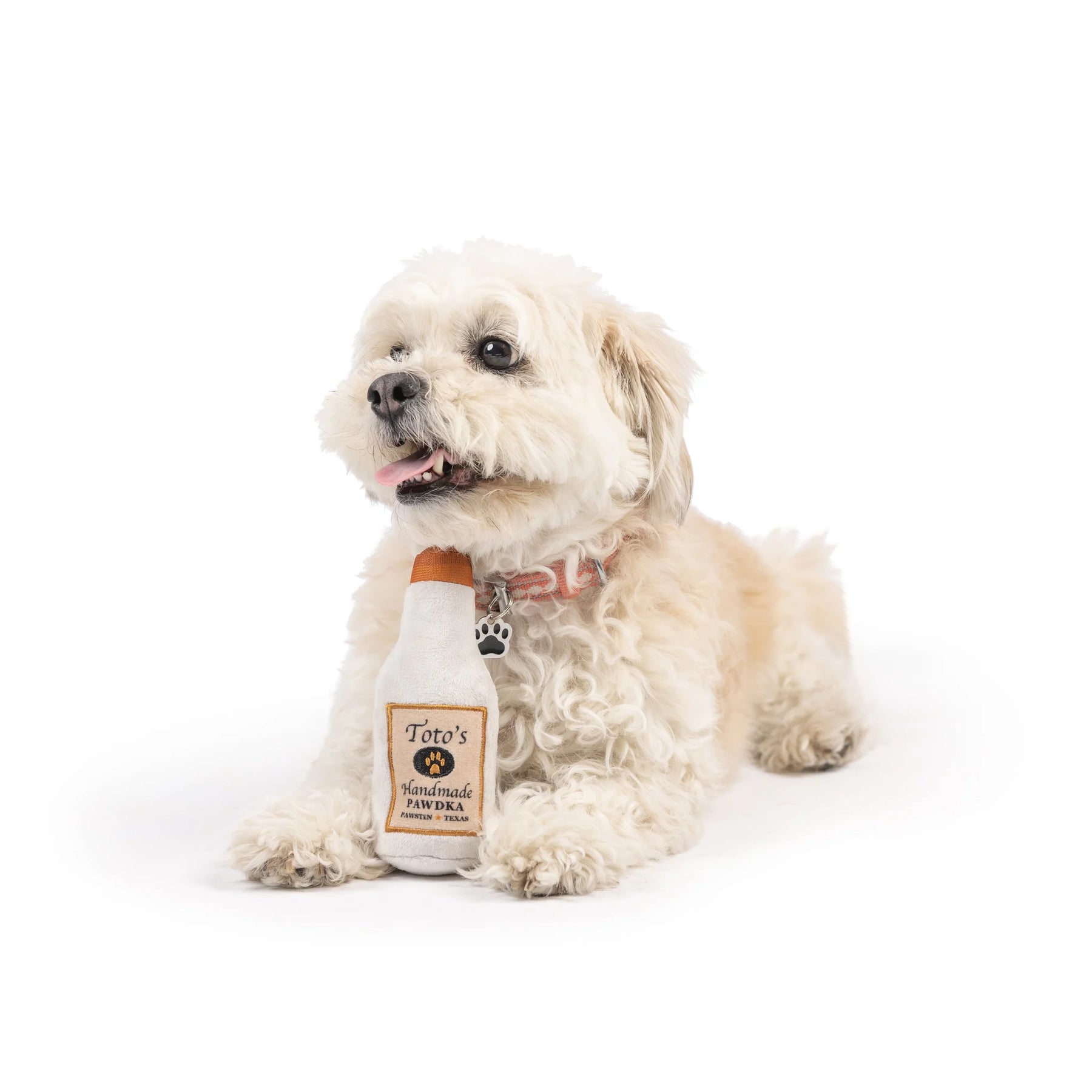 Huxley & Kent - Dog Toy Tiny Tuff Toto's Pawdka