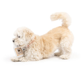 Huxley & Kent - Dog Toy Tiny Tuff Toto's Pawdka