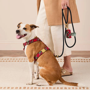 The Foggy Dog - Waste Bag Dispenser Tartan