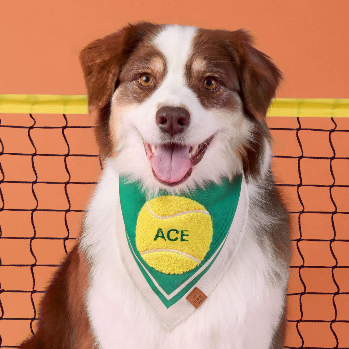 The Foggy Dog - Bandana Dog Tennis Applique