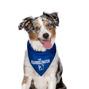 FunDog Bandanas - Dog Bandana Squirrelinator