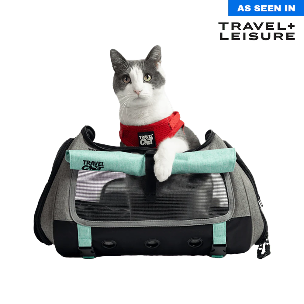 Travel Cat - Backpack "The Transpurrter"