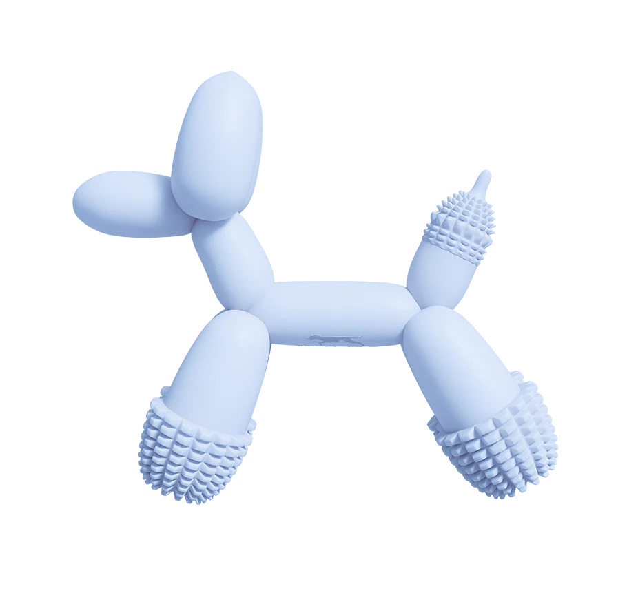 SANDDOG - Art Balloon Dog Toy