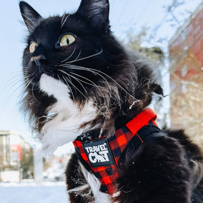 Travel Cat - Harness - "The Pawsitively Plaid" Buffalo Plaid