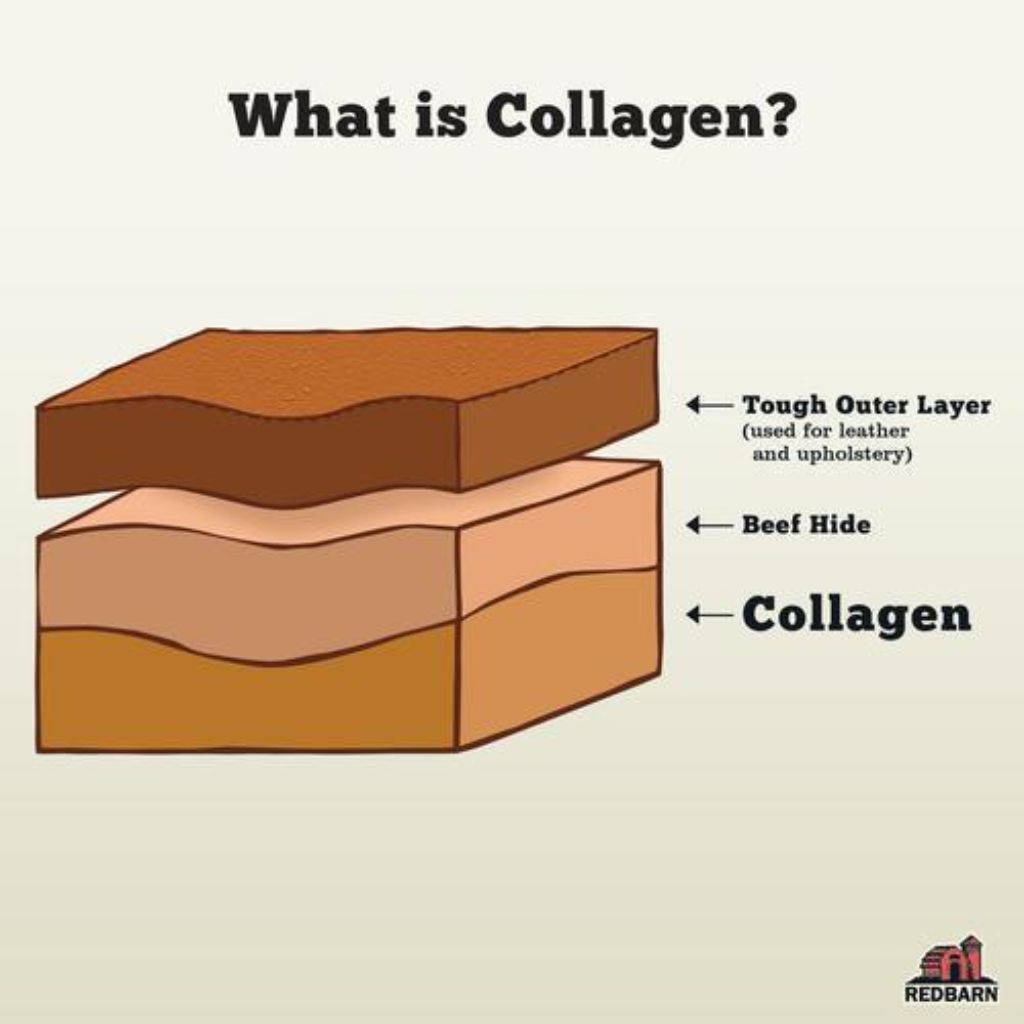 Redbarn - Collagen Barbell