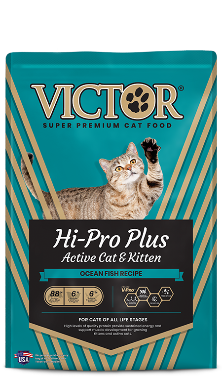 Victor - Hi-Pro Plus Active Cat&Kitten Ocean & Fish