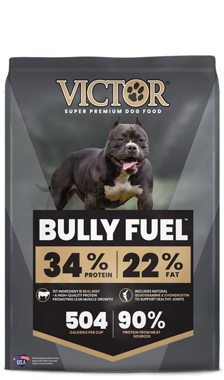Victor - Bully Fuel 34/22 Real Beef Dog Food