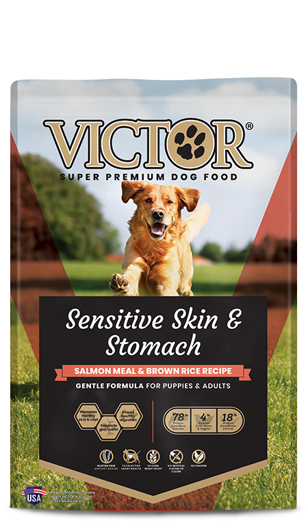 Victor - Sensitive Skin & Coat Salmon Meal & Brown Rice Dog Food