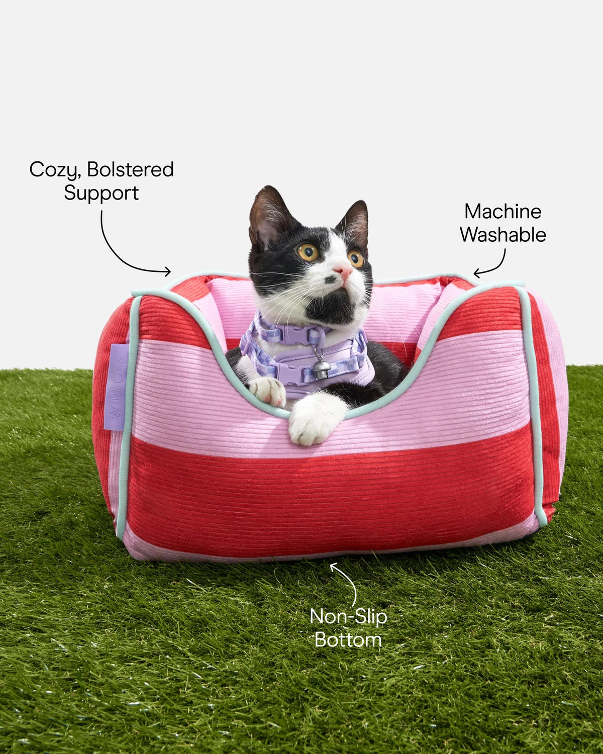 Wild One - Cat Bed Bubblegum Colorblock