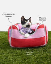 Wild One - Cat Bed Bubblegum Colorblock