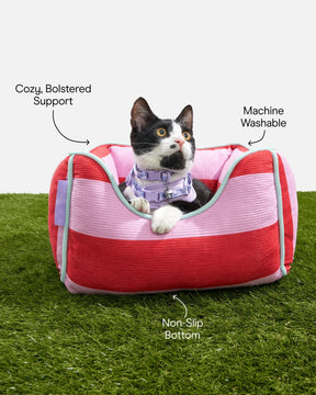 Wild One - Cat Bed Bubblegum Colorblock