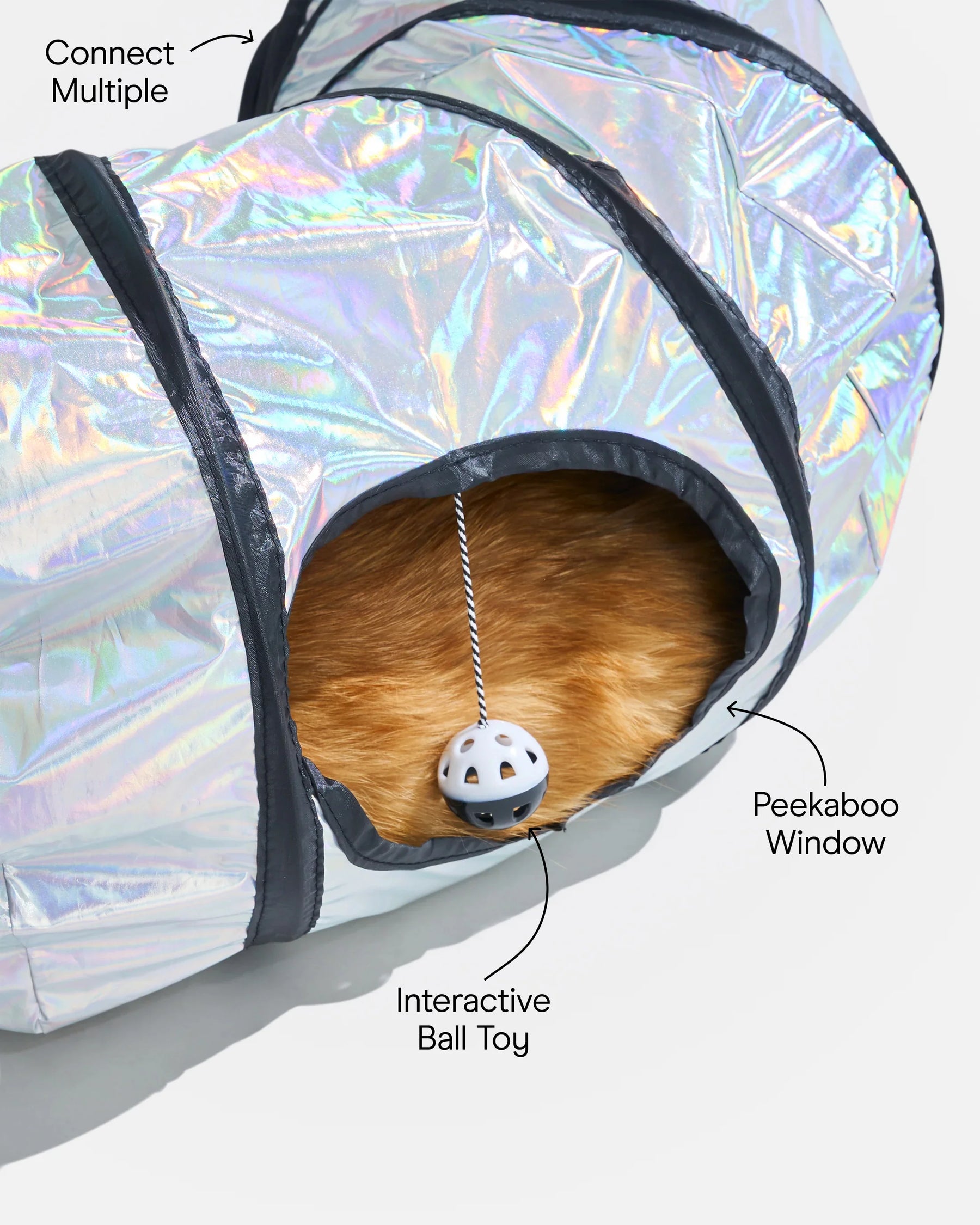 Wild One - Cat Lunar Tunnel