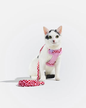 Wild One - Cat Harness With Leash