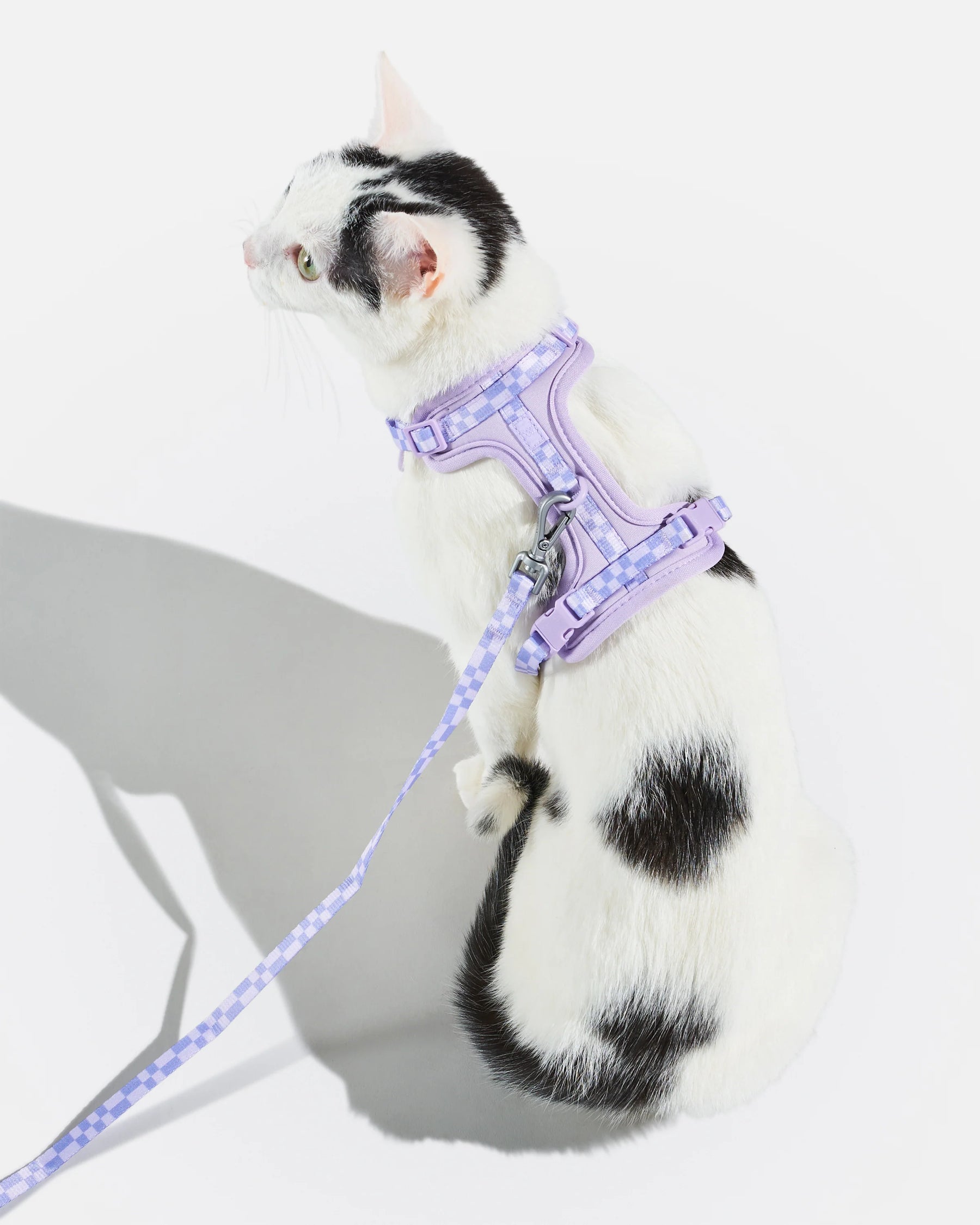 Wild One - Cat Harness With Leash