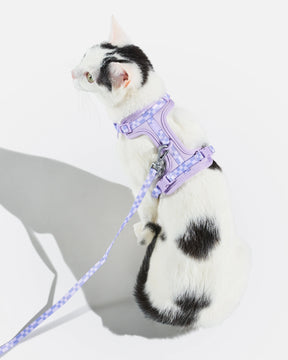 Wild One - Cat Harness With Leash