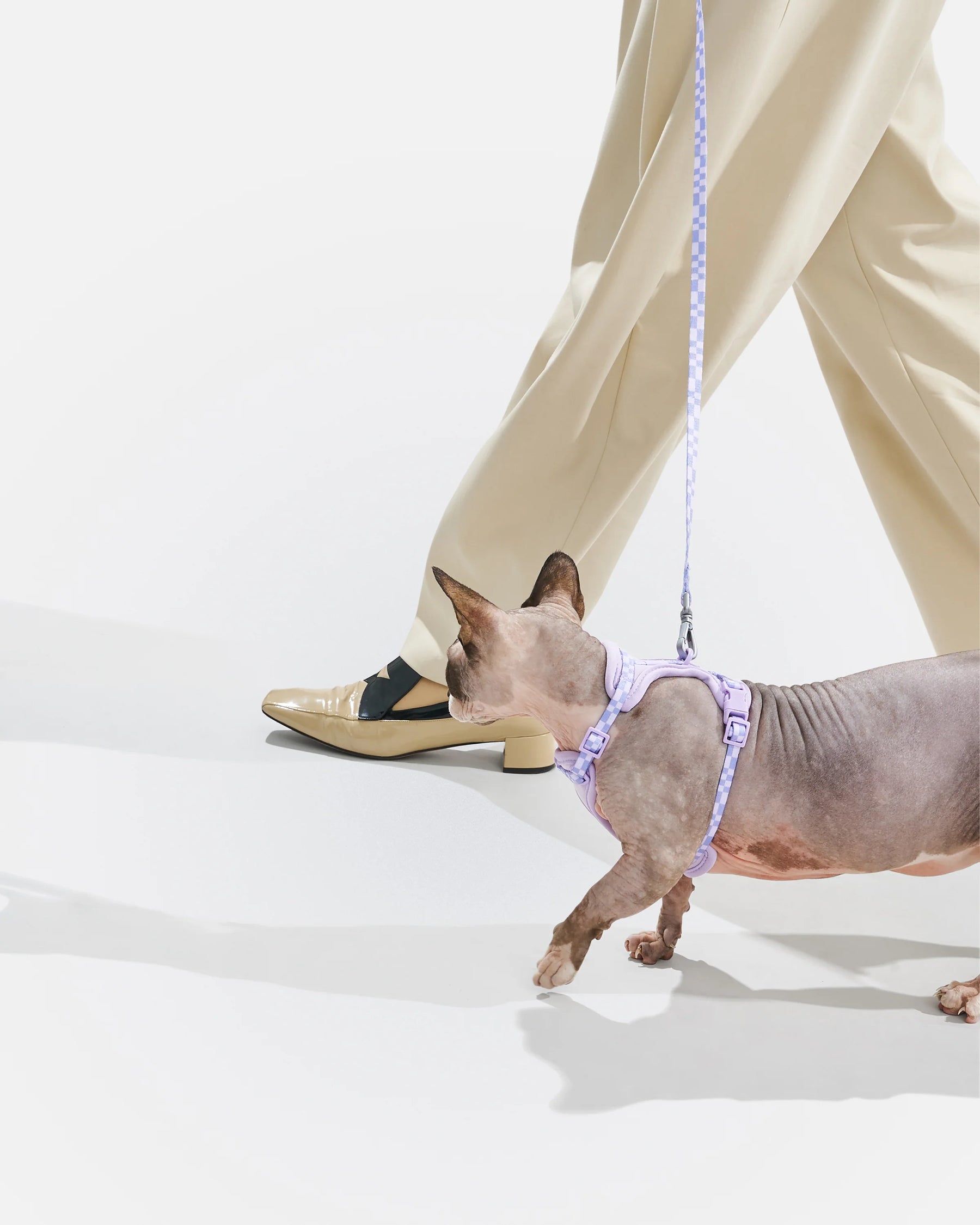 Wild One - Cat Harness With Leash