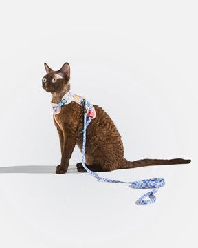 Wild One - Cat Harness With Leash