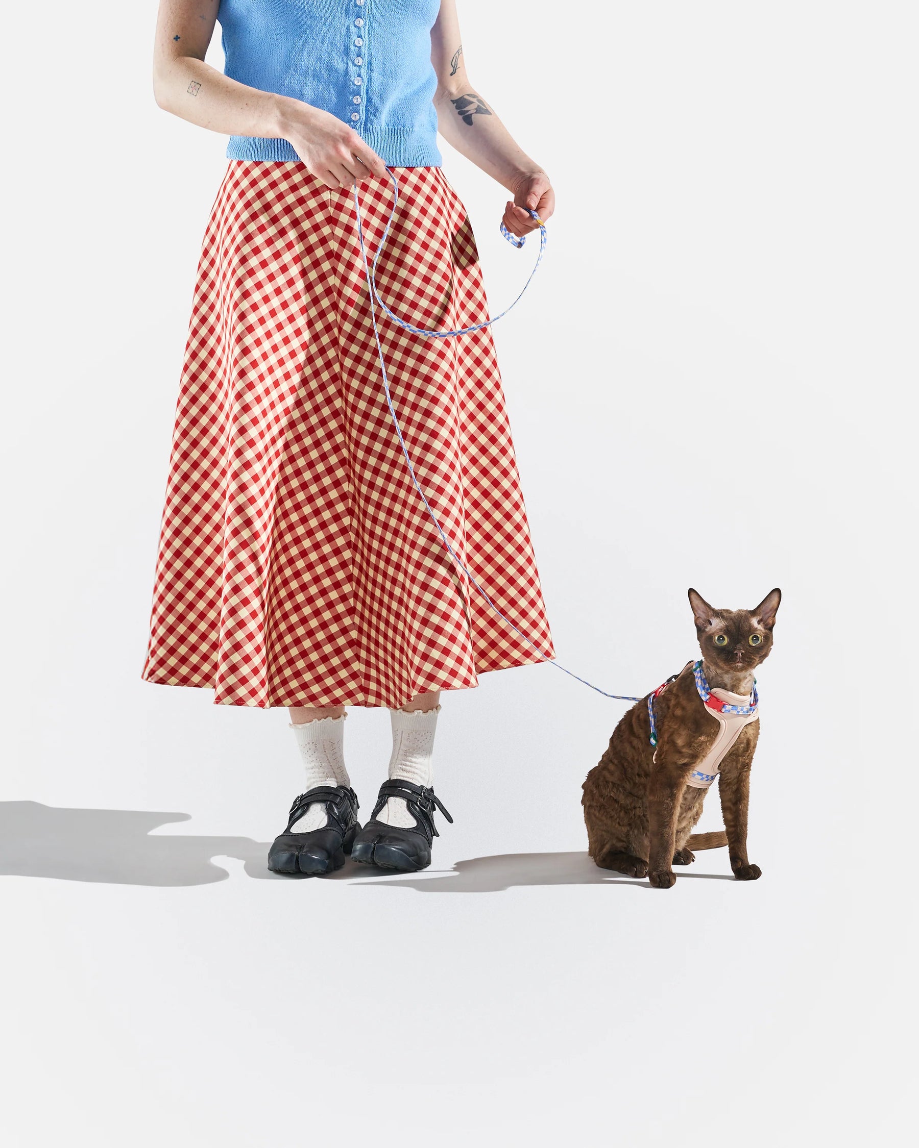 Wild One - Cat Harness With Leash