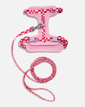 Wild One - Cat Harness With Leash