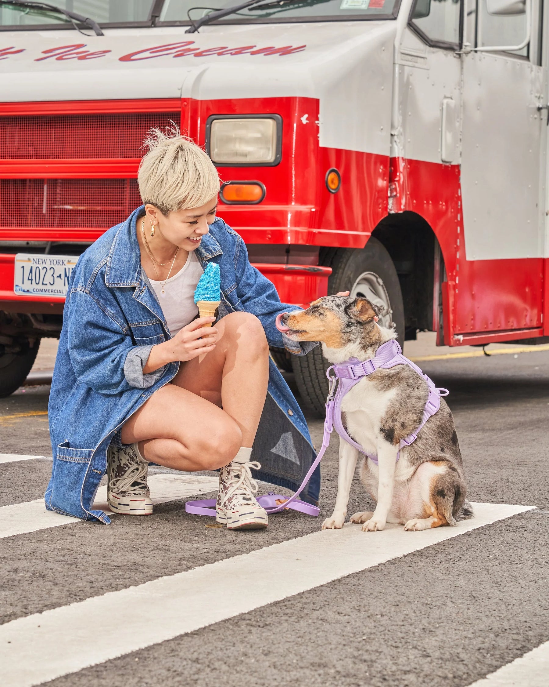 Wild One - Dog Harness Adjustable Comfort Lilac