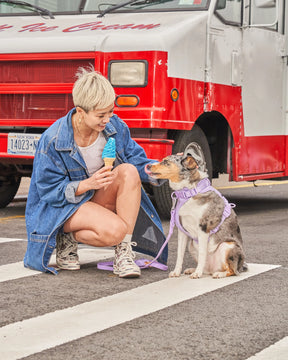 Wild One - Dog Harness Adjustable Comfort Lilac