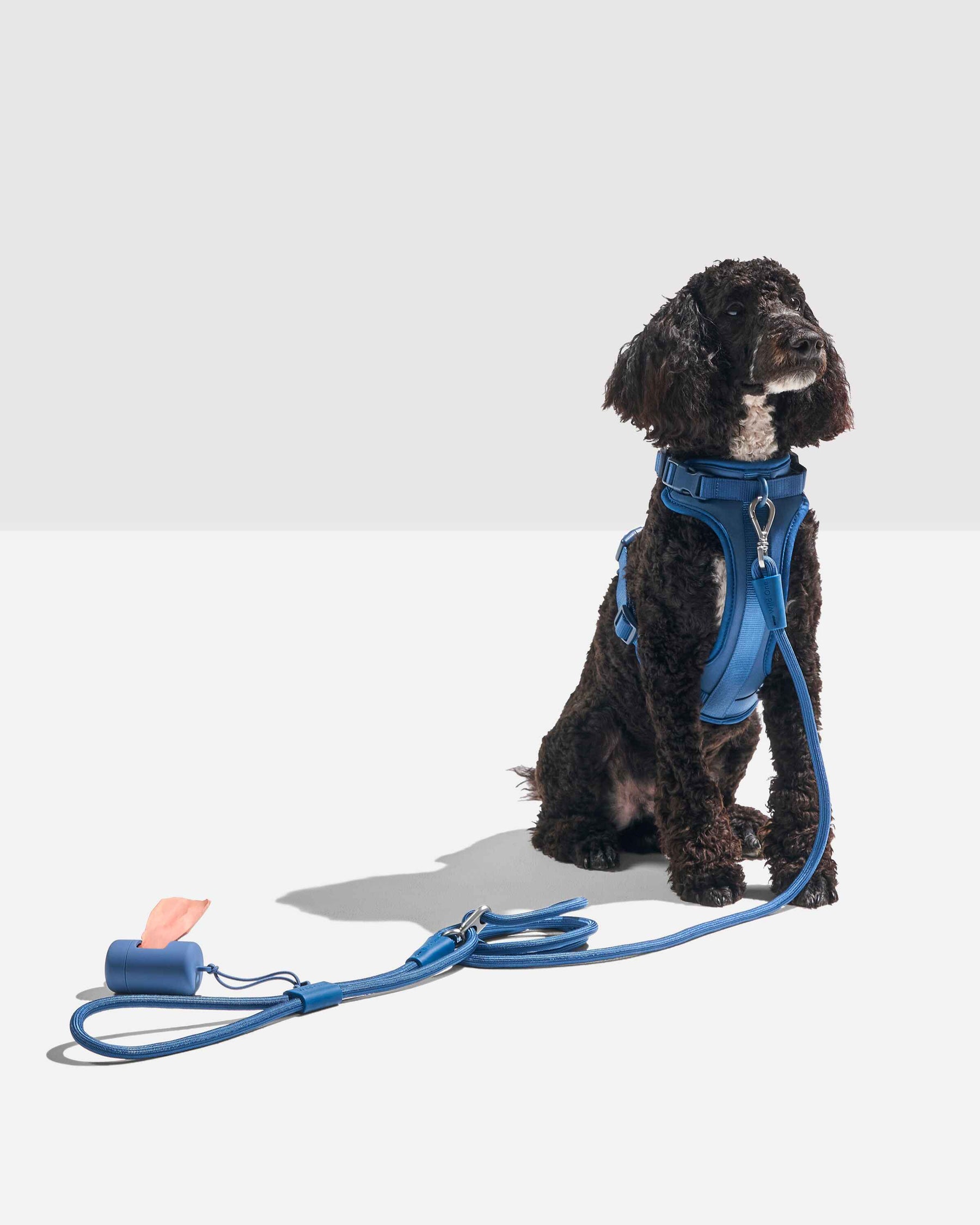 Wild One - Leash Rope 4 In 1