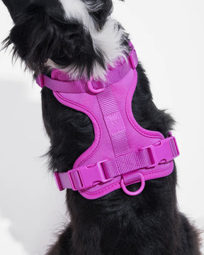 Wild One - Dog Harness Adjustable Comfort Orchid