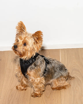 Wild One - Dog Harness Adjustable Comfort Black