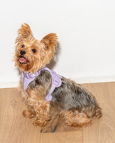 Wild One - Dog Harness Adjustable Comfort Lilac