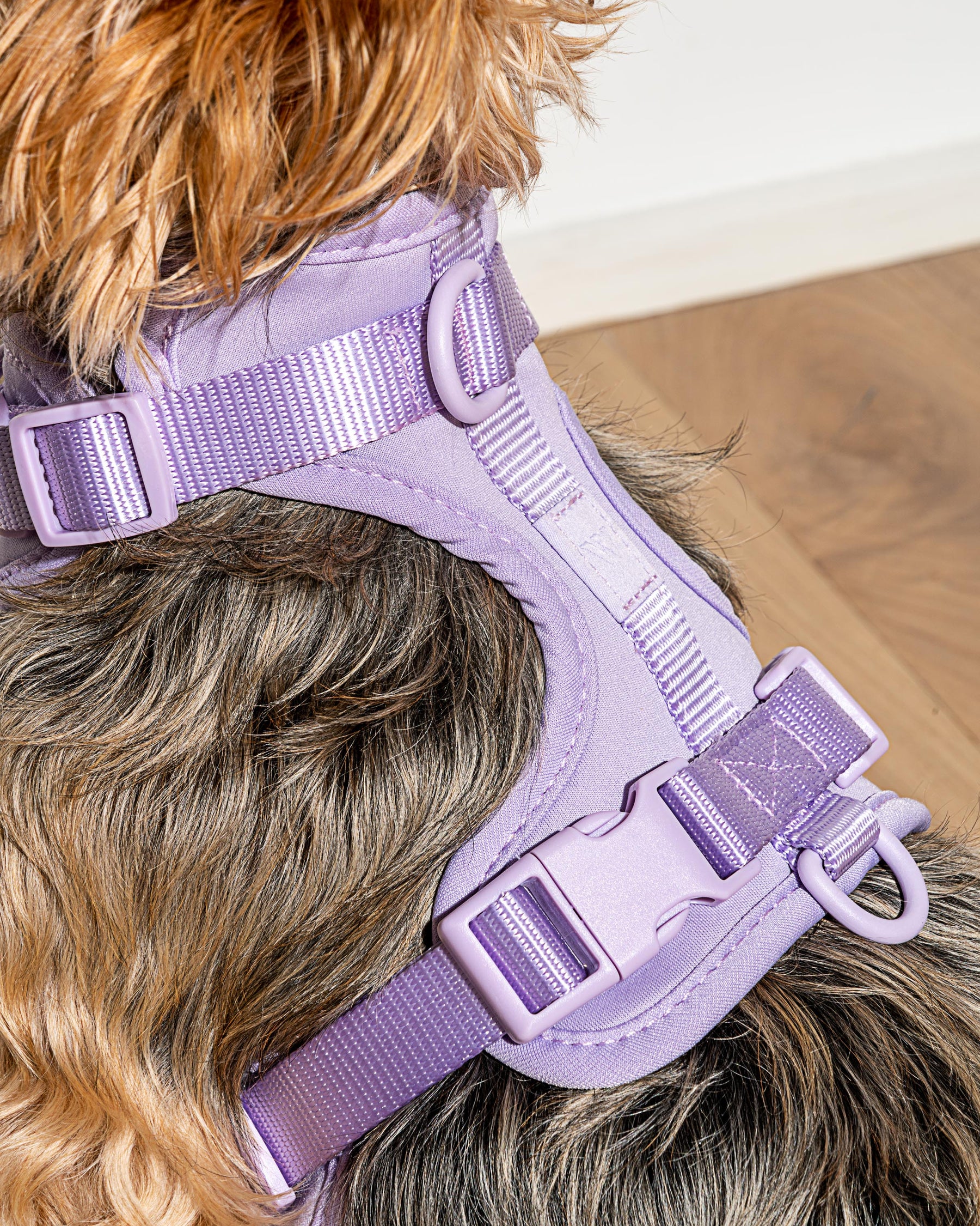 Wild One - Dog Harness Adjustable Comfort Lilac