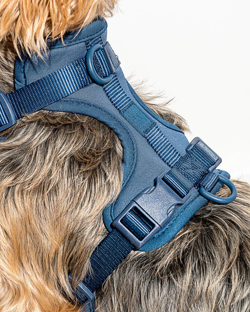 Wild One Dog Harness Adjustable Comfort Navy