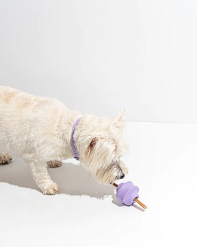 Wild One - Twist Toss Treat Dispensing Dog Toy Standard Size