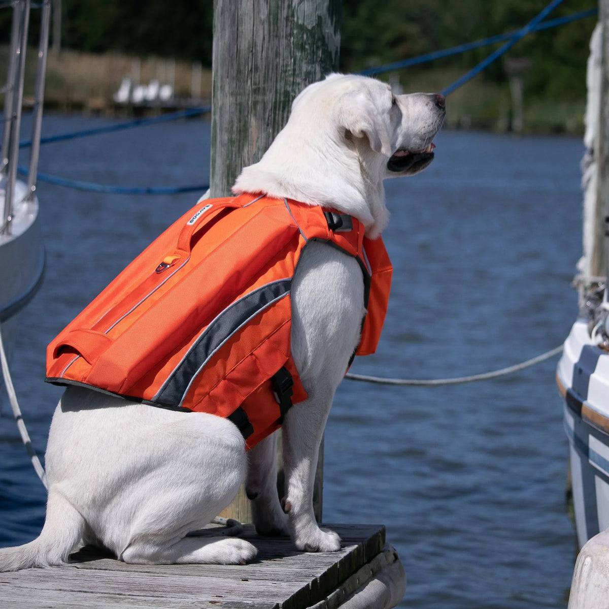 Baydog - Monterey Bay Offshore Canine LifeJacket
