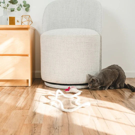 Cat in the Box - Wool Axolotl Cat Toy 5-Foot Long Tether