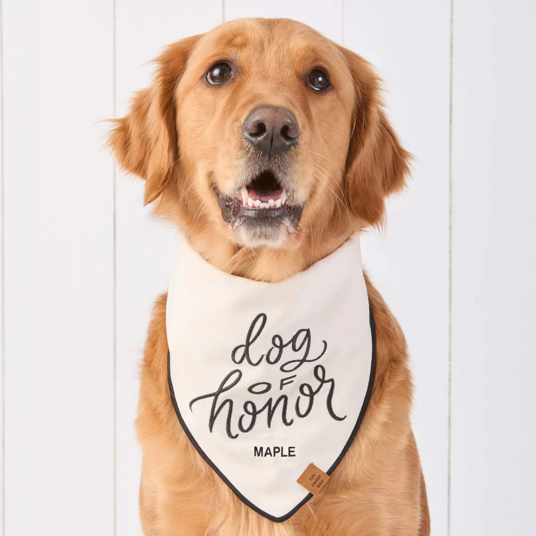 The Foggy Dog - Bandana Dog Dog Of Honor